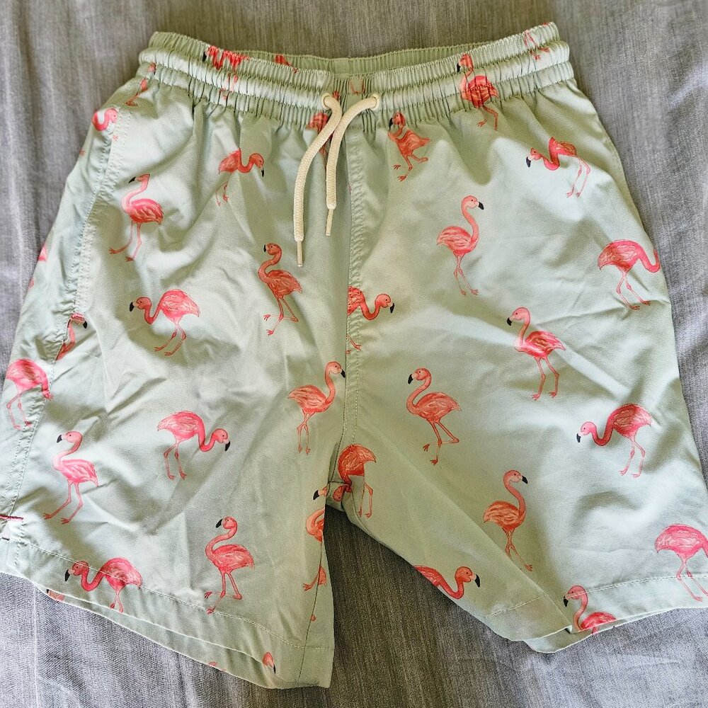 Men's swim trunks